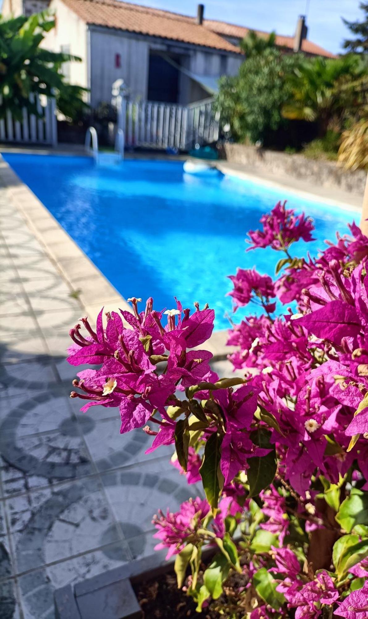 Bed and Breakfast Les Bichettes Mortagne-sur-Sevre Zewnętrze zdjęcie